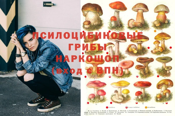 таблы Алзамай